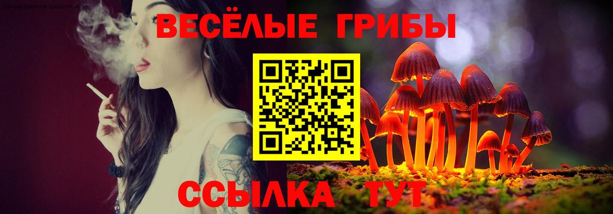 Галлюциногенные грибы Psilocybine cubensis  Вход с VPN  Лысьва 